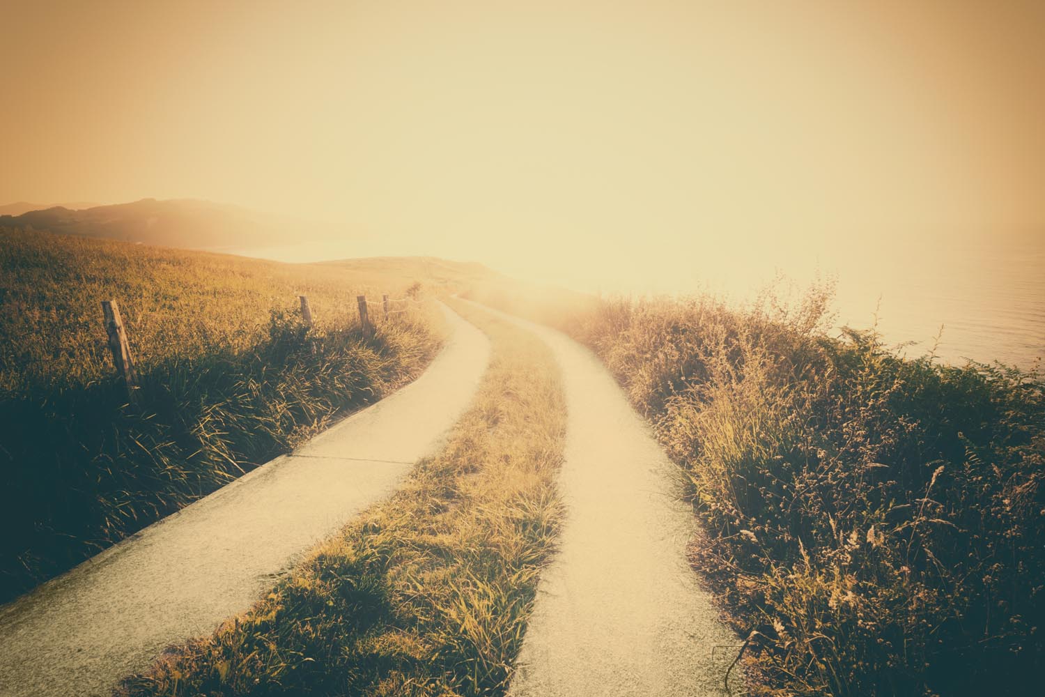 Chemin de campagne emmenant on ne sait trop où dans la brume. Pour le pire ou le meilleur avec l'IA comme compagnon